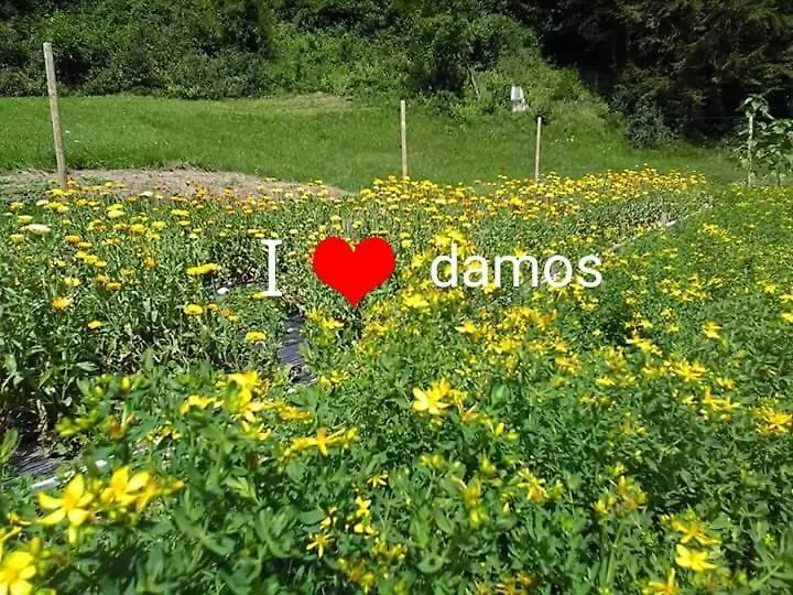 Agriturismo Borgo Damos Valle di Cadore Farm stay