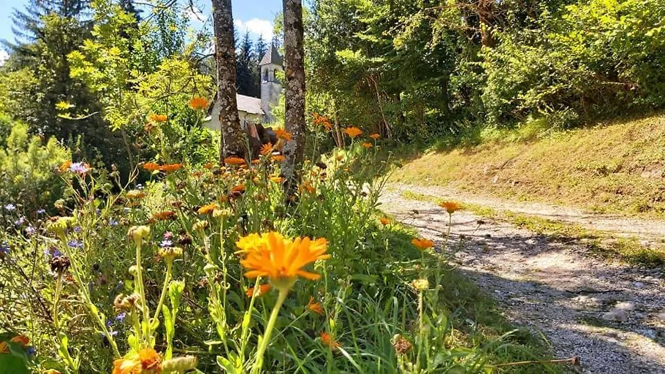 Agriturismo Borgo Damos Valle di Cadore