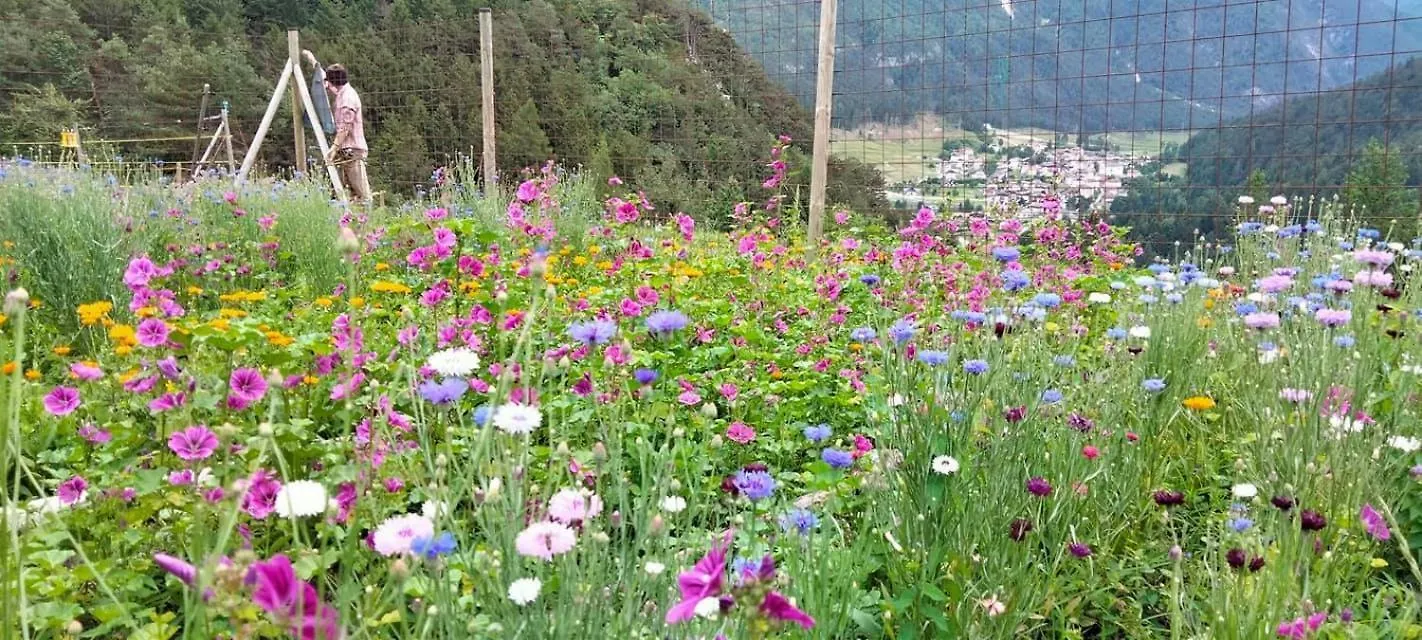 Agriturismo Borgo Damos Valle di Cadore 0*,